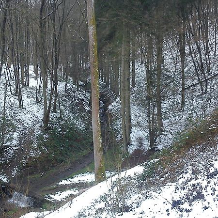 Вилла Arduena - Het Ardennetje Блемон Экстерьер фото