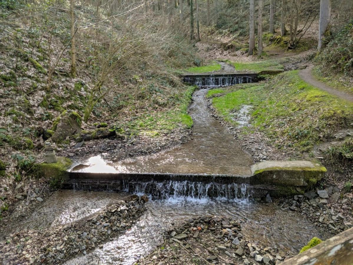 Вилла Arduena - Het Ardennetje Блемон Экстерьер фото